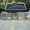 2013-November-Mongoose-Monitor-thumbnail
