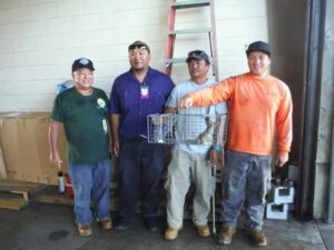 10/11/2016 Mongoose Capture