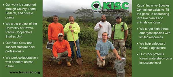 KISC Mini Brochure