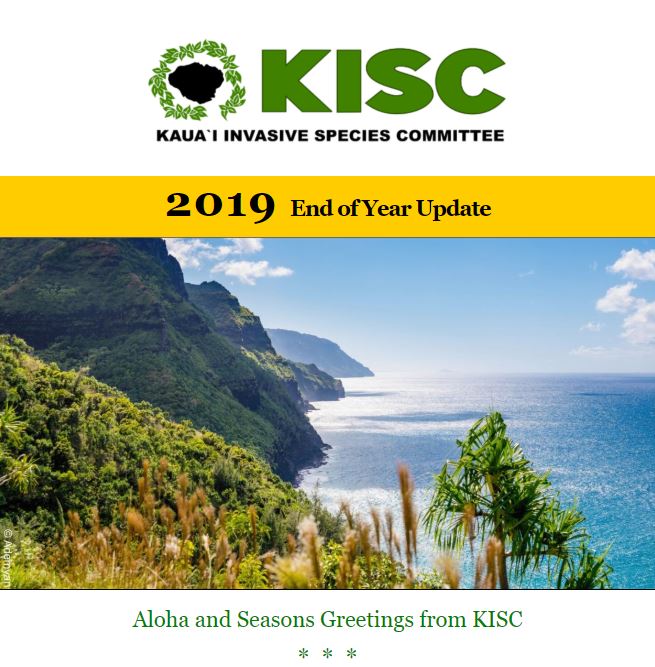 2019 newsletter KISC