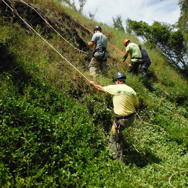 ground survey