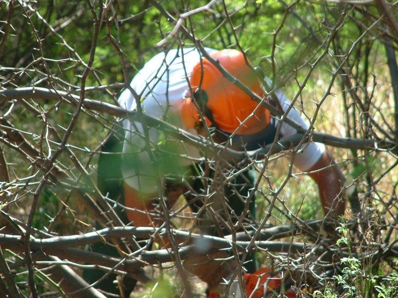 Man with chainsaw