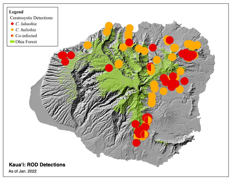 Map of ROD on Kauai