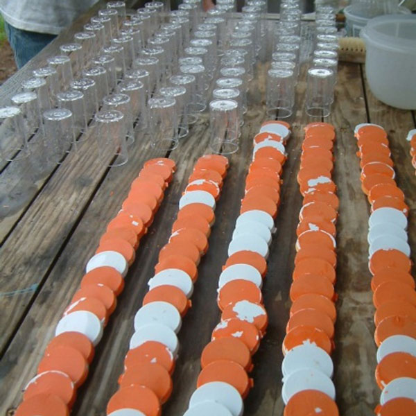 survey vials
