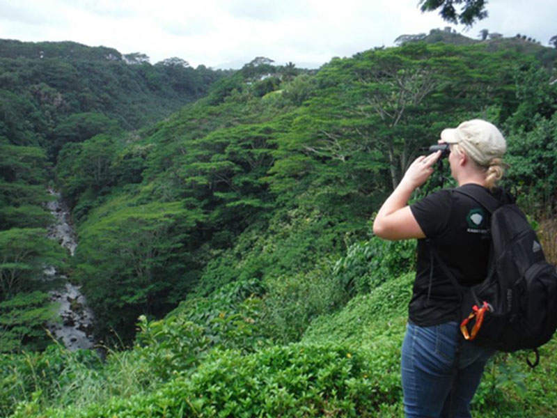 woman with binoculars overlooking trees