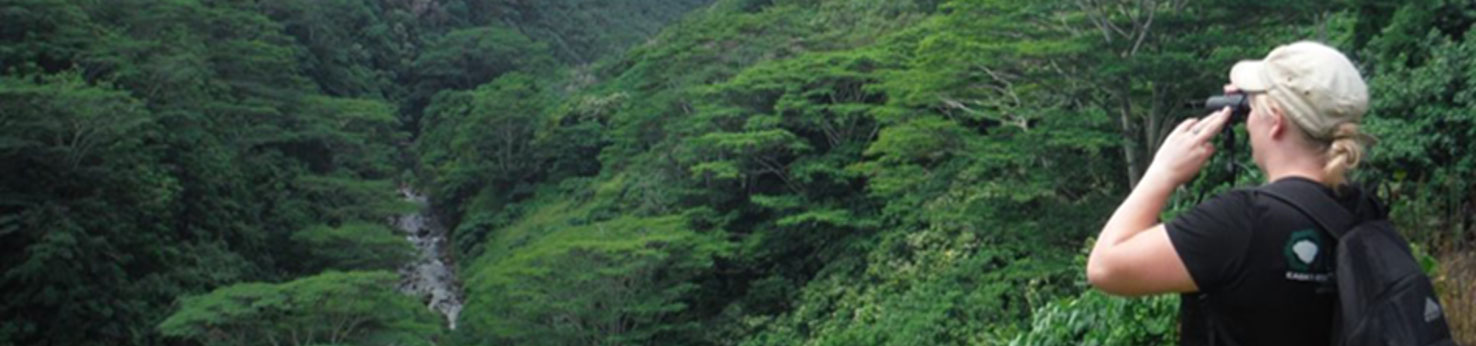 woman with binoculars overlooking trees