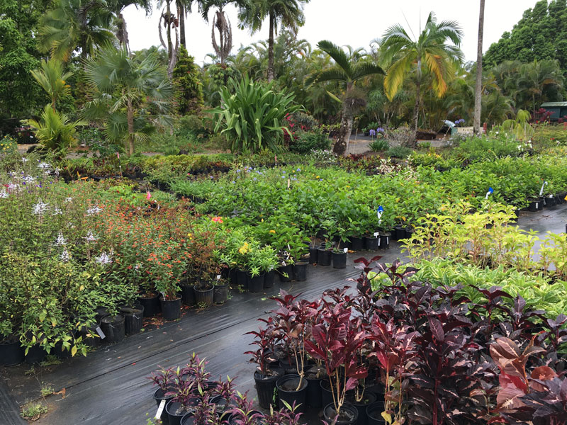 Plant nursery