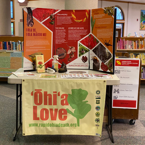 Princeville Library 'Ōhi'a Display