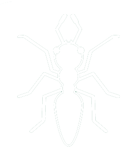 insect icon