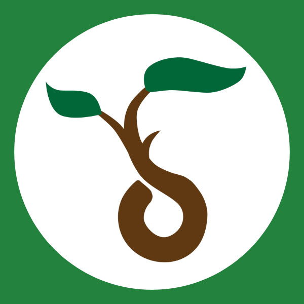 Plant pono tree icon