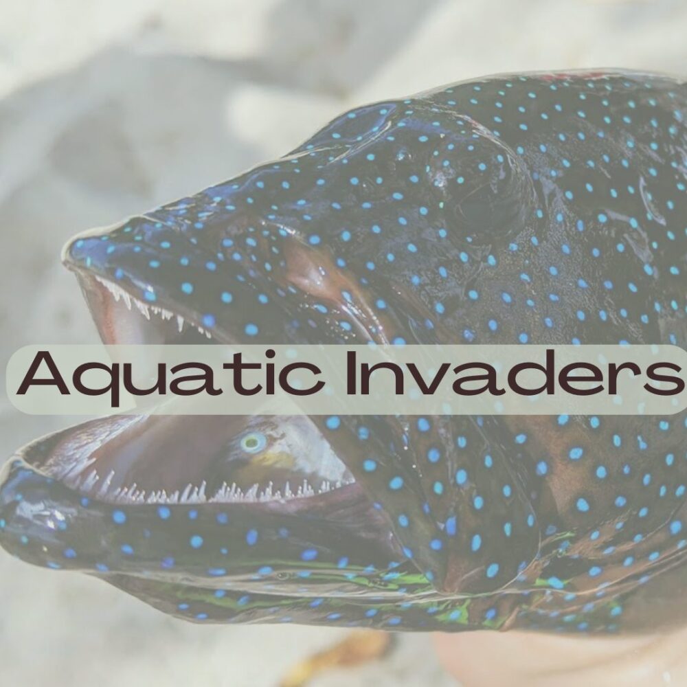 Aquatic invasives