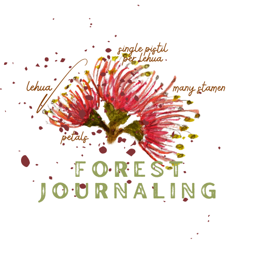 Forest Journaling at NTBG Herbarium