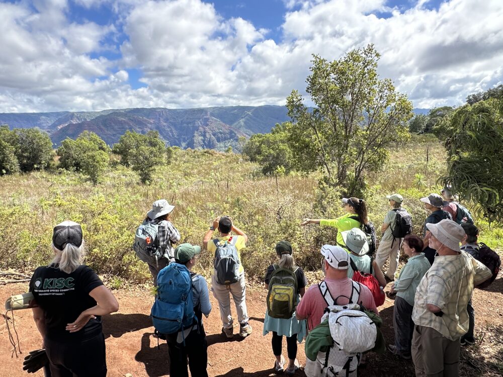photo of a group of sierra club volunteers at iliau trailhead