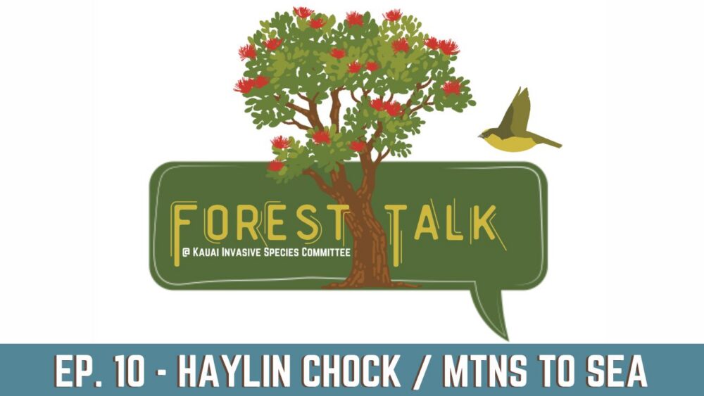 Logo graphic that says: Forest Talk Episode 10 Haylin Chock Mountains to Sea