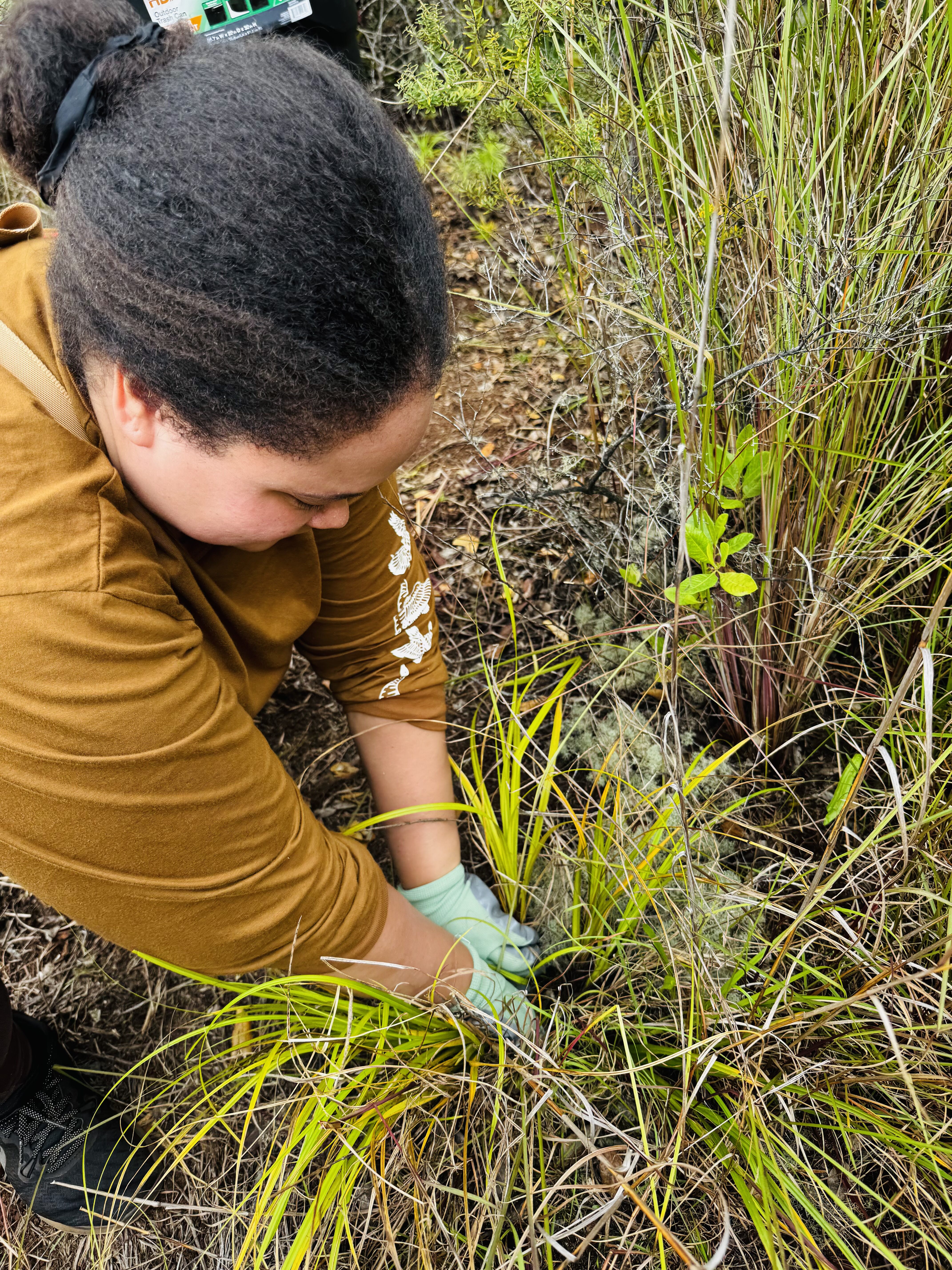photo of someone pulling weeds