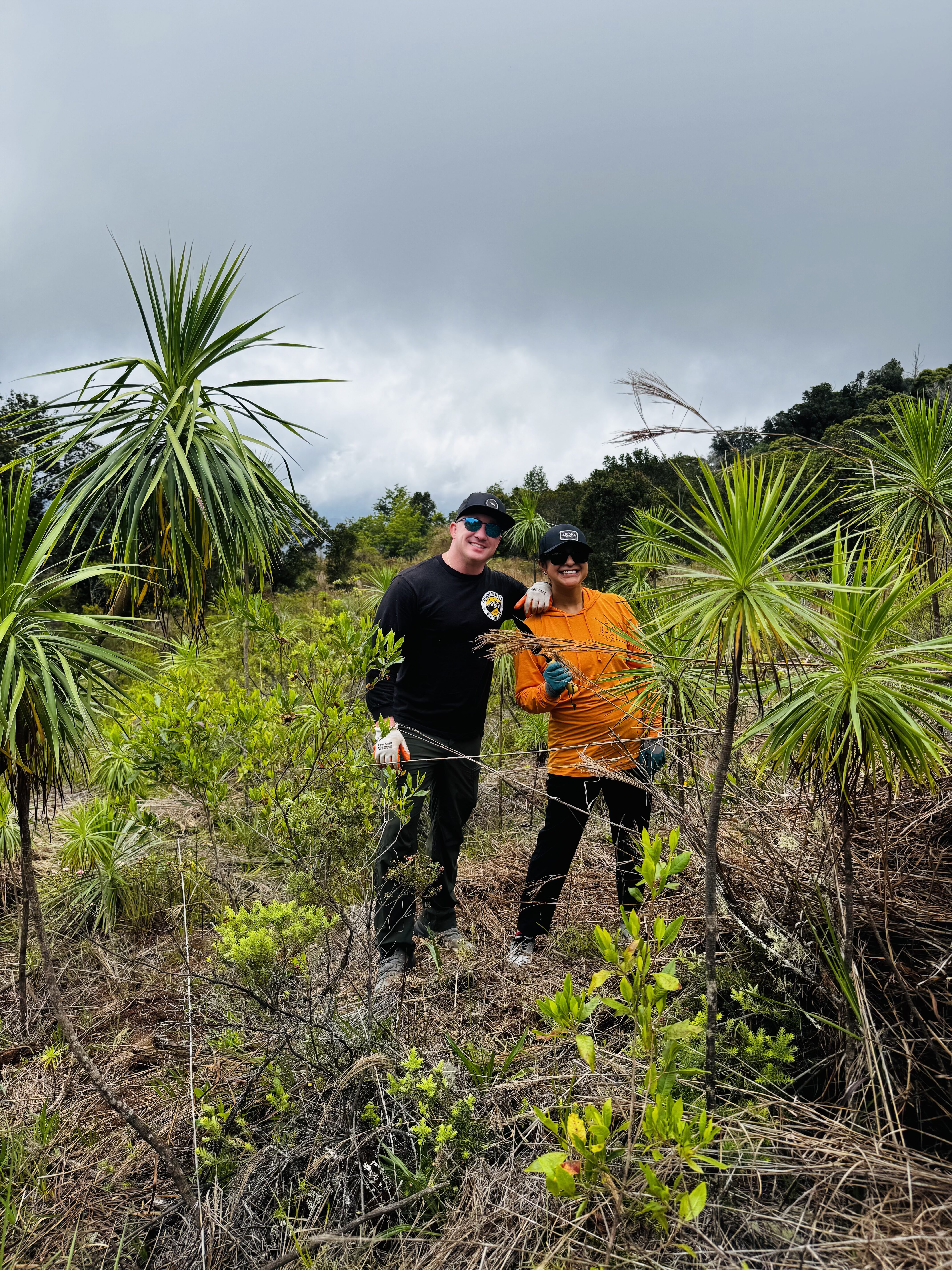 two people removing invasive weeds
