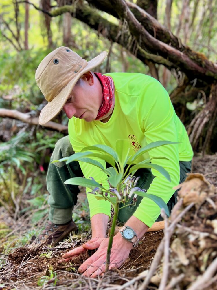 photo of Kaua'i botanist adam williams planting a native plant
