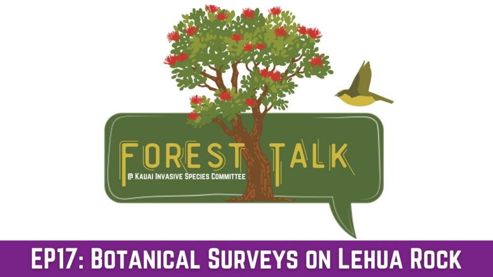 graphic of "forest talk" logo with text "botanical surveys on Lehus rock"