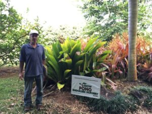 Steve Sico, owner of Garden Island Flower Farms
