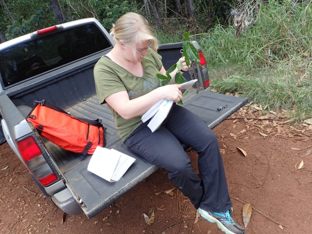 Kelsey inspecting a Passiflora tarminiana cutting