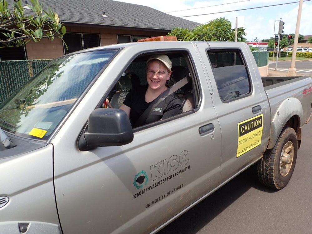 Kelsey on a roadside survey