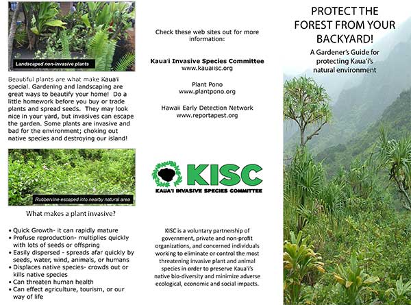 Protect the Forest from Your Backyard Brochure