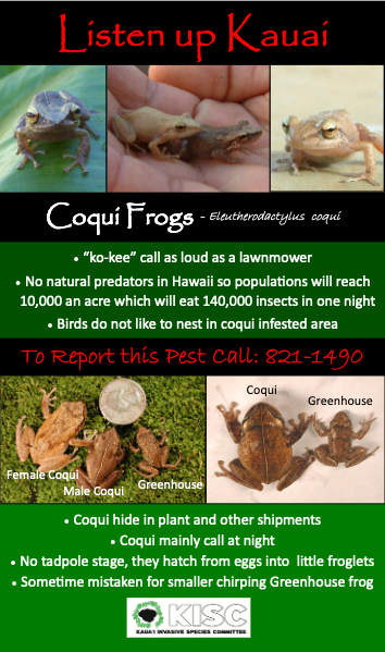 Coqui Frog Pest Alert Flyer KISC